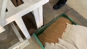 日产5吨小黄米碾米机组