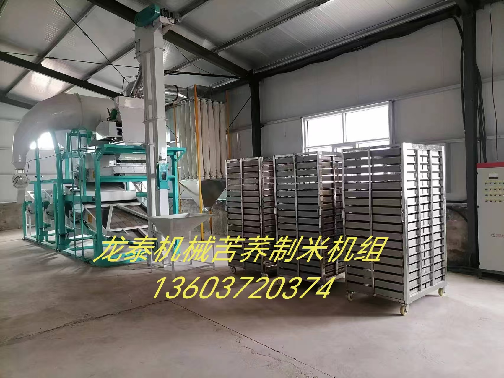 内蒙古鄂尔多斯市杭锦旗四十里梁日产5吨苦荞茶机组