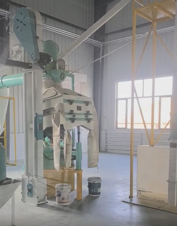 日产20吨钢架式小麦平筛制粉机组视频展示